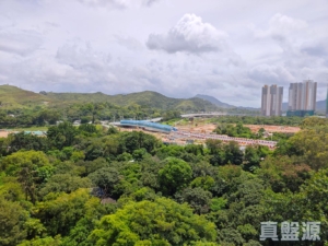皇府山 8座 – 曉峰 - 28NTS – 香港北部都會區