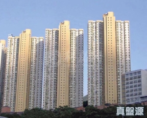 錦英苑 錦達閣 (E座) - 28NTS – 香港北部都會區