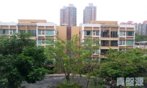 綠悅 1座 - 28NTS – 香港北部都會區