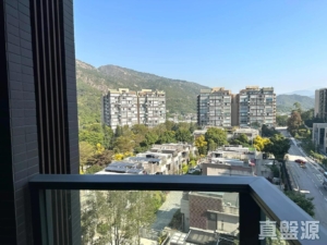 緹岸 1期 1座 - 28NTS – 香港北部都會區