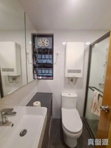 新元朗中心 2座 - 28NTS – 香港北部都會區