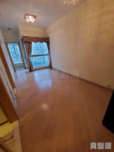 原築 1座 - 28NTS – 香港北部都會區