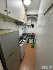 沙田第一城 4期 42座 - 28NTS – 香港北部都會區
