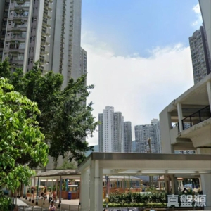 逸雅苑 逸榮閣 (A座) - 28NTS – 香港北部都會區