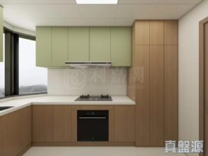 柏傲莊 3期 1座 (1B) - 28NTS – 香港北部都會區