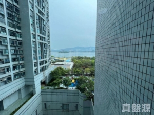 海柏花園 4座 - 28NTS – 香港北部都會區