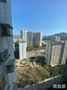 粉嶺名都 怡景閣 (5座) - 28NTS – 香港北部都會區