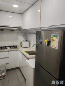 粉嶺名都 龍騰閣 (4座) - 28NTS – 香港北部都會區
