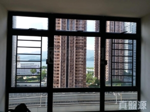 新港城 4期 L座 - 28NTS – 香港北部都會區