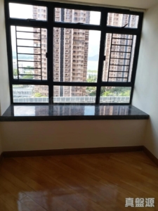 新港城 4期 L座 - 28NTS – 香港北部都會區