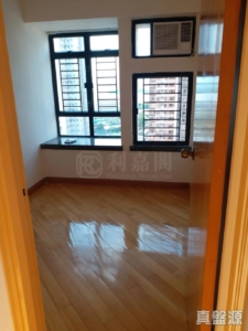 新港城 4期 L座 - 28NTS – 香港北部都會區