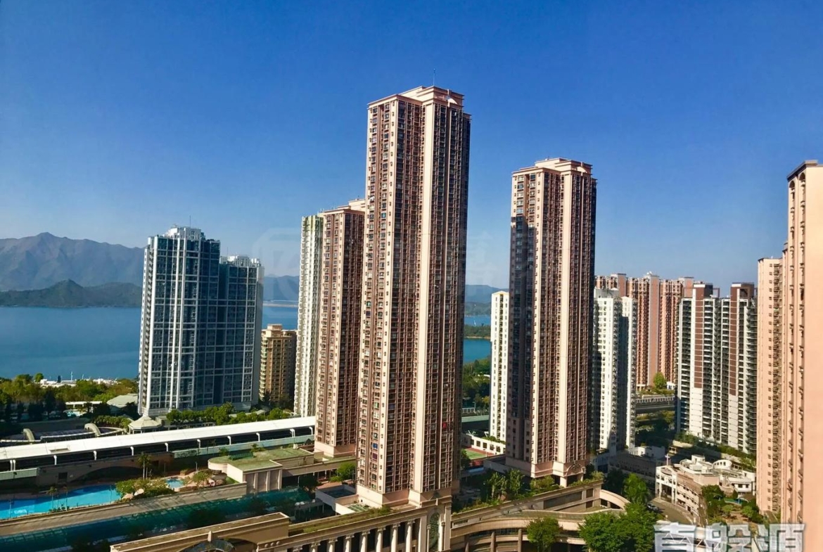 新港城 3期 P座 - 28NTS – 香港北部都會區