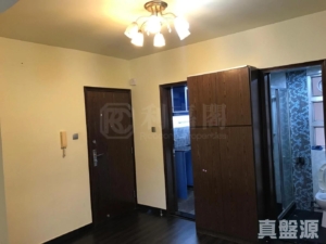 新港城 3期 P座 - 28NTS – 香港北部都會區