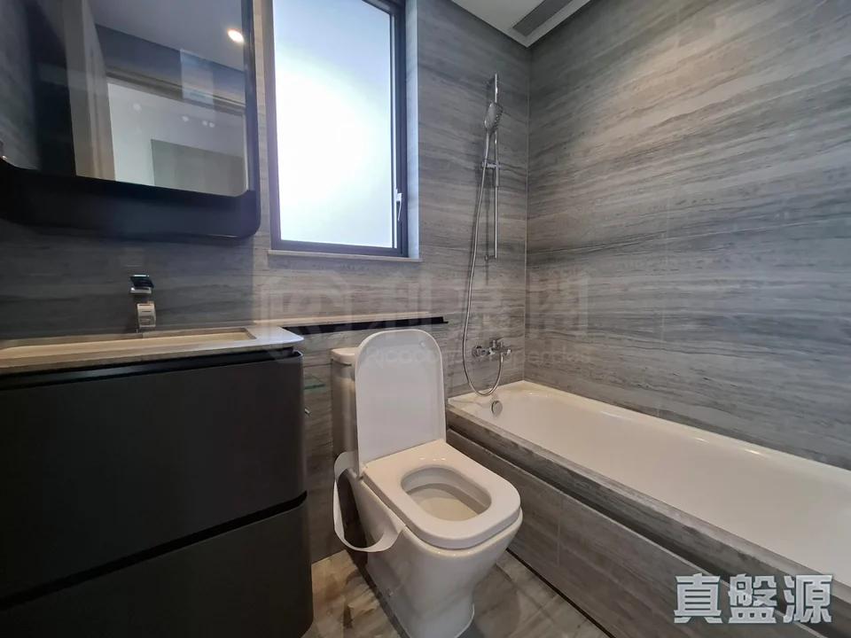 星凱．堤岸 1座 - 28NTS – 香港北部都會區