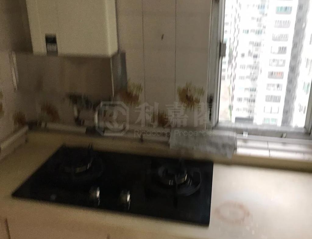 沙田中心 佳寧大廈 (C座) - 28NTS – 香港北部都會區