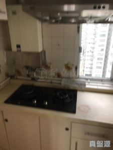 沙田中心 佳寧大廈 (C座) - 28NTS – 香港北部都會區