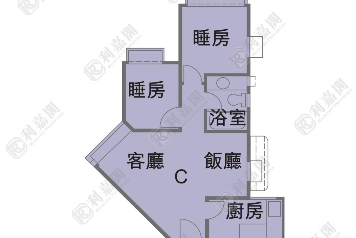 178611989339097_2000_ricacorp.png