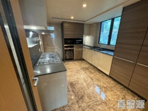 駿嶺薈 1座 - 28NTS – 香港北部都會區