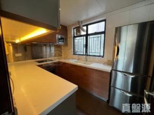 倚龍山莊 15座 - 28NTS – 香港北部都會區