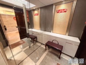 天賦海灣 2期 溋玥 - 28NTS – 香港北部都會區