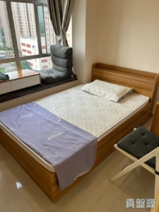 新港城 3期 N座 - 28NTS – 香港北部都會區