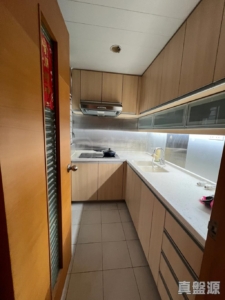 新都廣場 3座 - 28NTS – 香港北部都會區