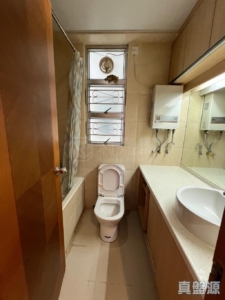 新都廣場 3座 - 28NTS – 香港北部都會區
