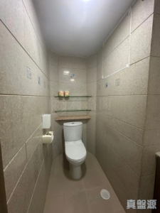 翠擁華庭 8座 - 28NTS – 香港北部都會區