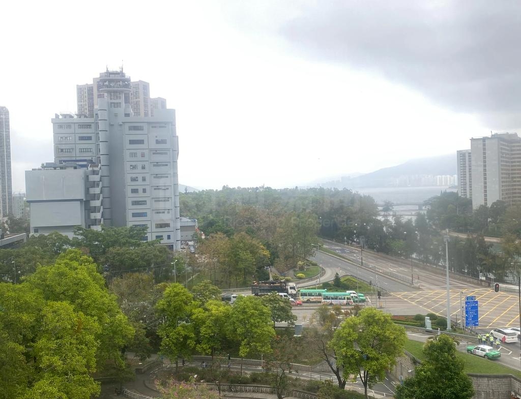 大埔中心 4期 10座 - 28NTS – 香港北部都會區
