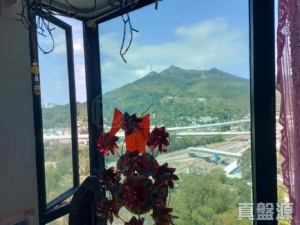 牽晴間 8座 - 28NTS – 香港北部都會區
