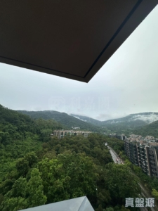 天鑽 9座 - 28NTS – 香港北部都會區
