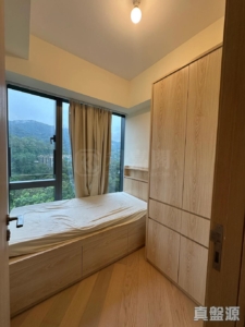 天鑽 9座 - 28NTS – 香港北部都會區