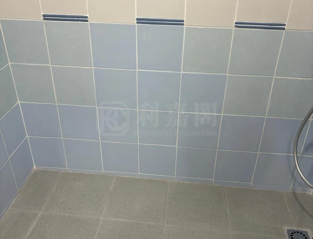 景新臺 4座 - 28NTS – 香港北部都會區