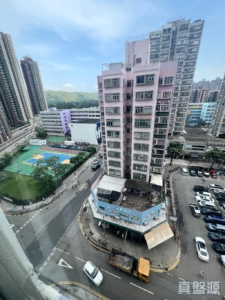 好順意大廈 A座 - 28NTS – 香港北部都會區
