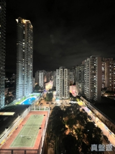 好順景大廈 1座 (A座) - 28NTS – 香港北部都會區