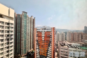尚翠苑 B座 (翠河閣) - 28NTS – 香港北部都會區