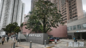 迎濤灣 1座 (A座) - 28NTS – 香港北部都會區