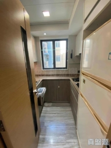 峻巒 2A期 PARK YOHO GENOVA 15B座 - 28NTS – 香港北部都會區