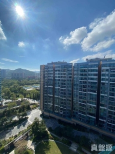 峻巒 2A期 PARK YOHO GENOVA 15B座 - 28NTS – 香港北部都會區