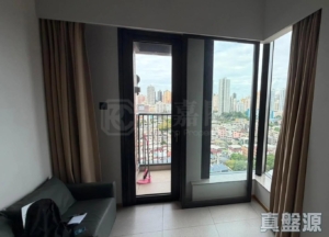 瑧頤 - 28NTS – 香港北部都會區