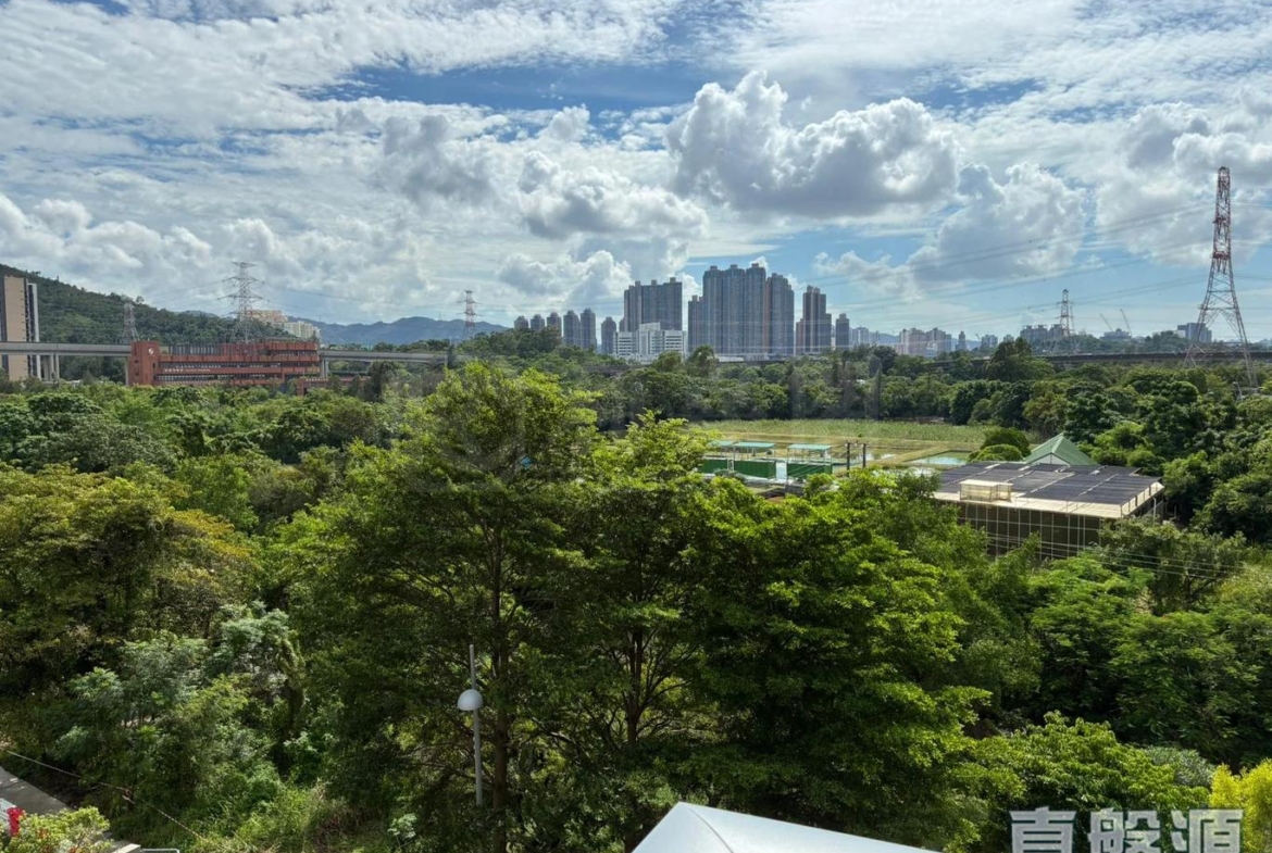 峻巒 3期 PARK YOHO BOLOGNA 8B座 - 28NTS – 香港北部都會區