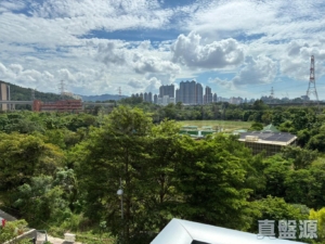 峻巒 3期 PARK YOHO BOLOGNA 8B座 - 28NTS – 香港北部都會區