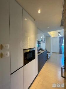 峻巒 2C期 PARK YOHO MILANO 32B座 - 28NTS – 香港北部都會區