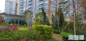 1786377358a4b06ecb-7db5-467f-a5e7-1b2916d19a72.jpeg 峻巒 2C期 PARK YOHO MILANO 35A座 - 28NTS – 香港北部都會區
