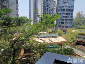 滿名山 滿庭 9座 - 28NTS – 香港北部都會區