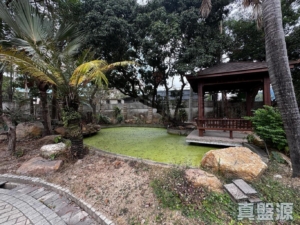 虎地下村 - 28NTS – 香港北部都會區
