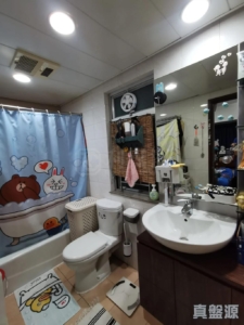 蝶翠峰 2期 16座 - 28NTS – 香港北部都會區