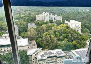 疊茵庭 2座 - 28NTS – 香港北部都會區