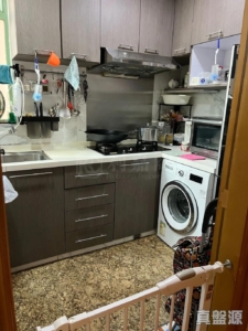 綠怡居 2座 - 28NTS – 香港北部都會區