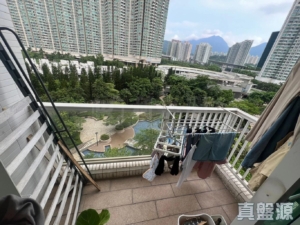 藍天海岸 4期 水藍‧天岸 5座 - 28NTS – 香港北部都會區